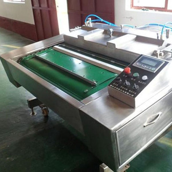 DZ1000C Continuous Vacuum Packaging machine