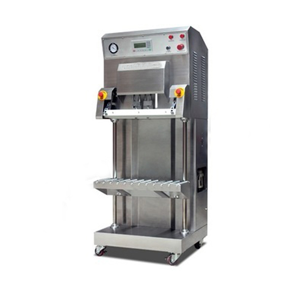 DZ-600L Vertical type External Vacuum sealer