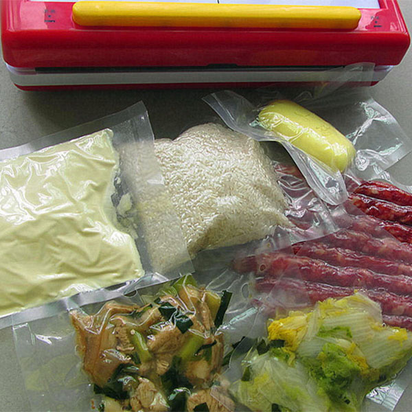 DZ-280/2SE Household Portable Vacuum Sealer for Food