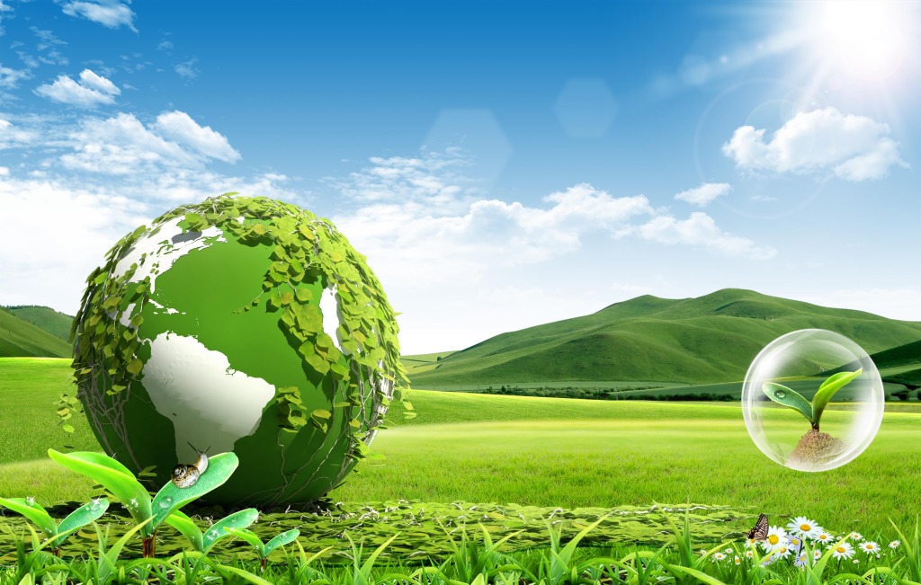 Packaging Industry Paints Itself Green
